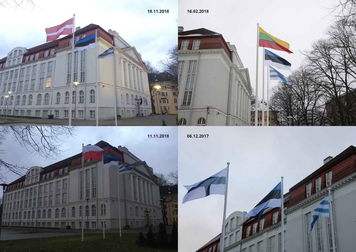 Vabariigi Valitsus kuulutas Eesti lähimate naabrite ja saatusekaaslaste 100. iseseisvuspäevad erakorralisteks lipupäevadeks. Sellest ajast saadik tähistab meie kool neid päevi oma lipuväljakul
